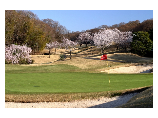 チェリーヒルズゴルフクラブ | 兵庫県 | ゴルフ場予約ALBA Net | コース画像