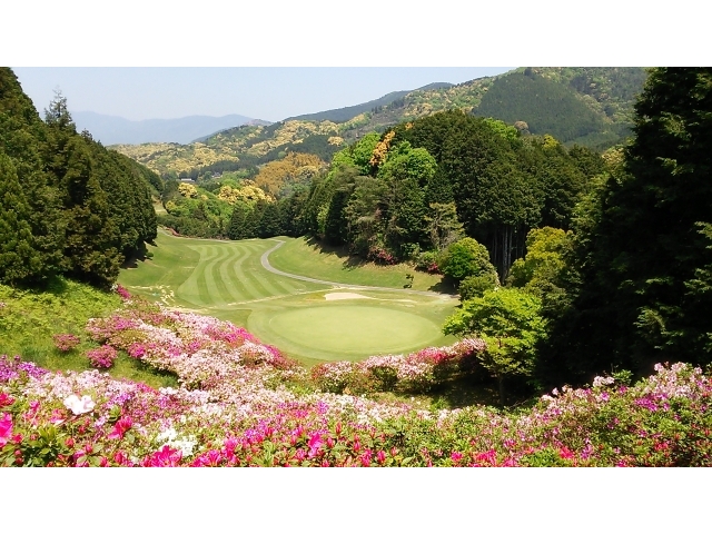 大洲ゴルフ倶楽部 | 愛媛県 | ゴルフ場予約ALBA Net | コース画像