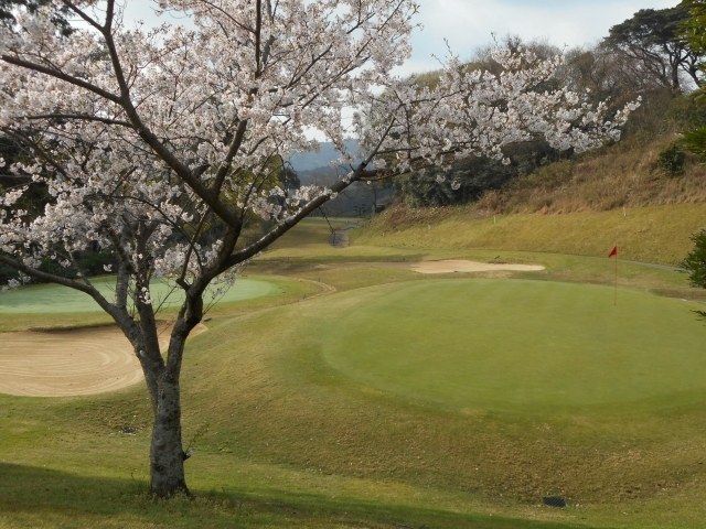 チサンカントリークラブ遠賀 | 福岡県 | ゴルフ場予約ALBA Net | コース画像