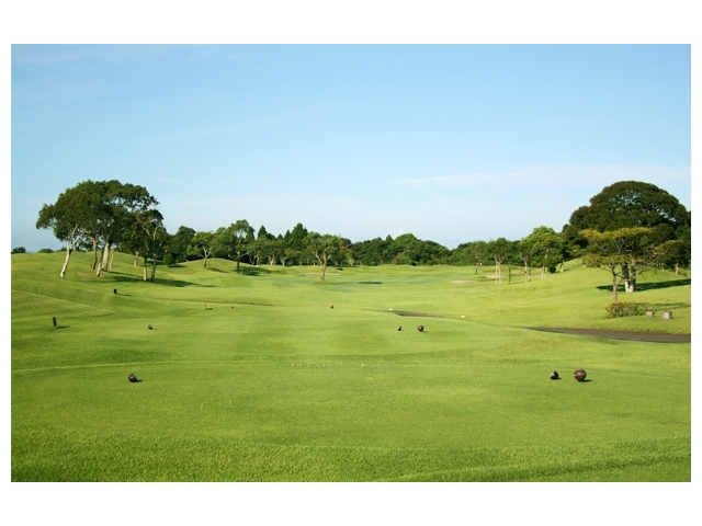 ハイビスカスゴルフクラブ | 宮崎県 | ゴルフ場予約ALBA Net | コース画像
