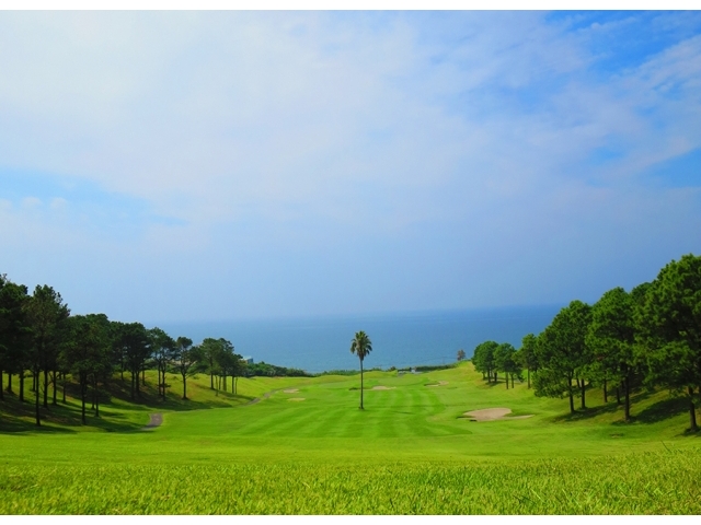 チェリーゴルフ鹿児島シーサイドコース | 鹿児島県 | ゴルフ場予約ALBA Net | コース画像