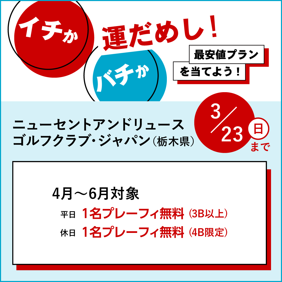 イチかバチか運試し「最安値プラン」を当てよう！