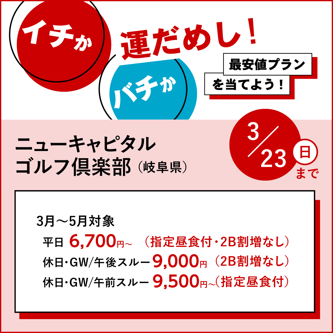 イチかバチか運試し「最安値プラン」を当てよう！