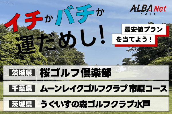 イチかバチか運試し「最安値プラン」を当てよう！