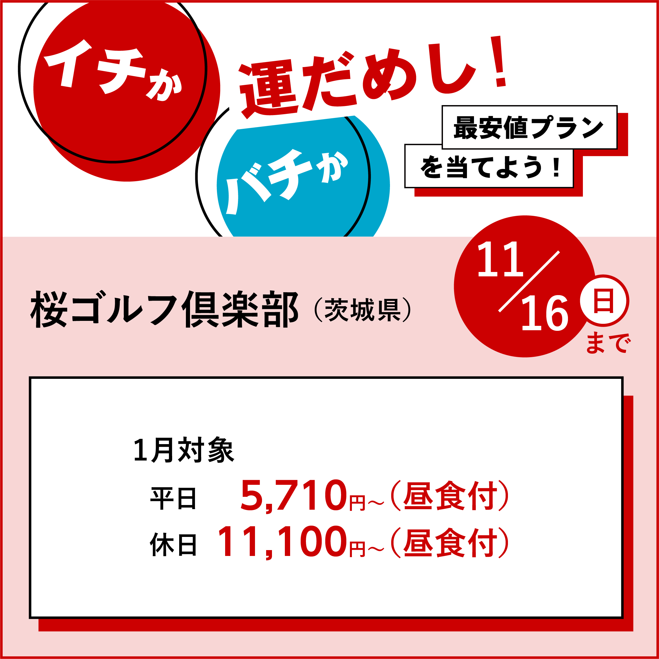 イチかバチか運試し「最安値プラン」を当てよう!