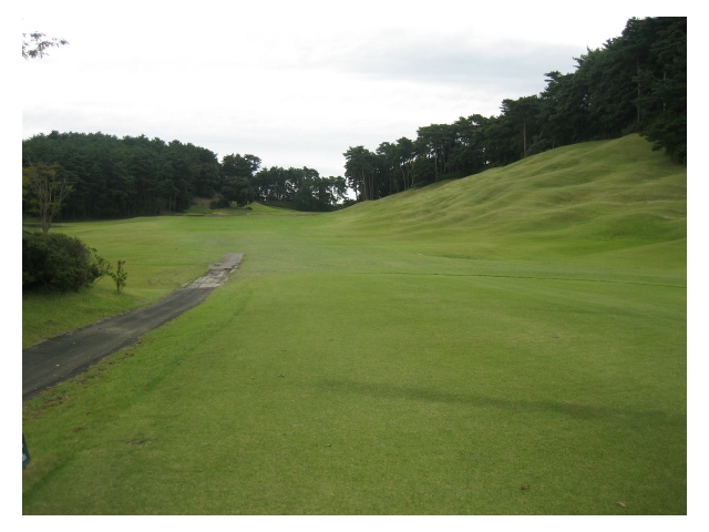 霞南ゴルフ倶楽部 | 茨城県 | ゴルフ場予約ALBA Net | コース画像