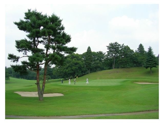 千葉国際カントリークラブ | 千葉県 | ゴルフ場予約ALBA Net | コース画像